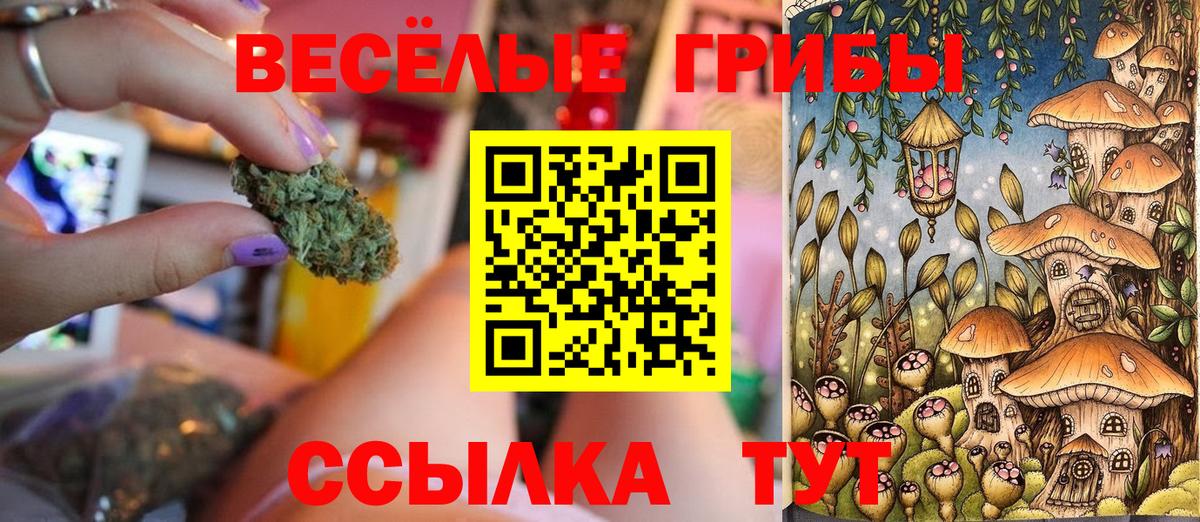 Псилоцибиновые грибы Cubensis  Вход с VPN  Людиново 