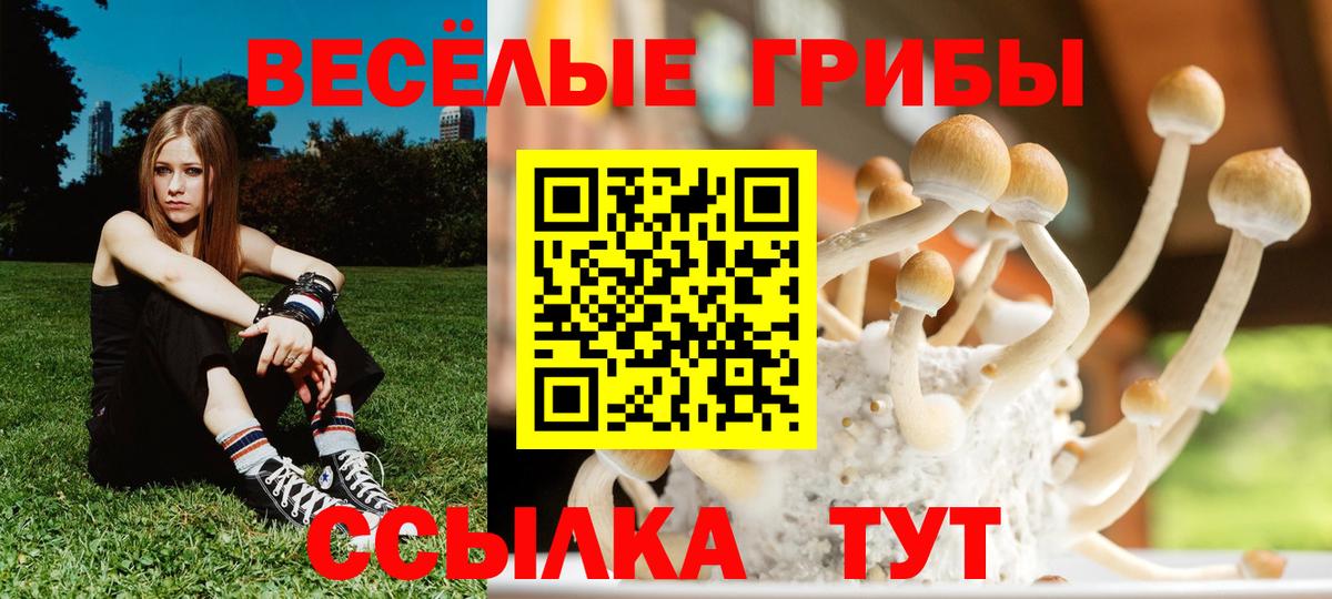 Галлюциногенные грибы мицелий Людиново